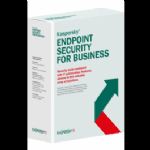 KASPERSKY ENDPOINT SECURITY FOR BUSINESS - CORE TURKEY EDITION. 20NODE 1 YEAR CROSS-GRADE LICENSE
